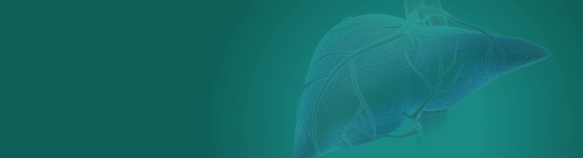 Natural Pharmaceuticals Hepactum™ FORTE Máj illusztrációja zöld háttéren.
