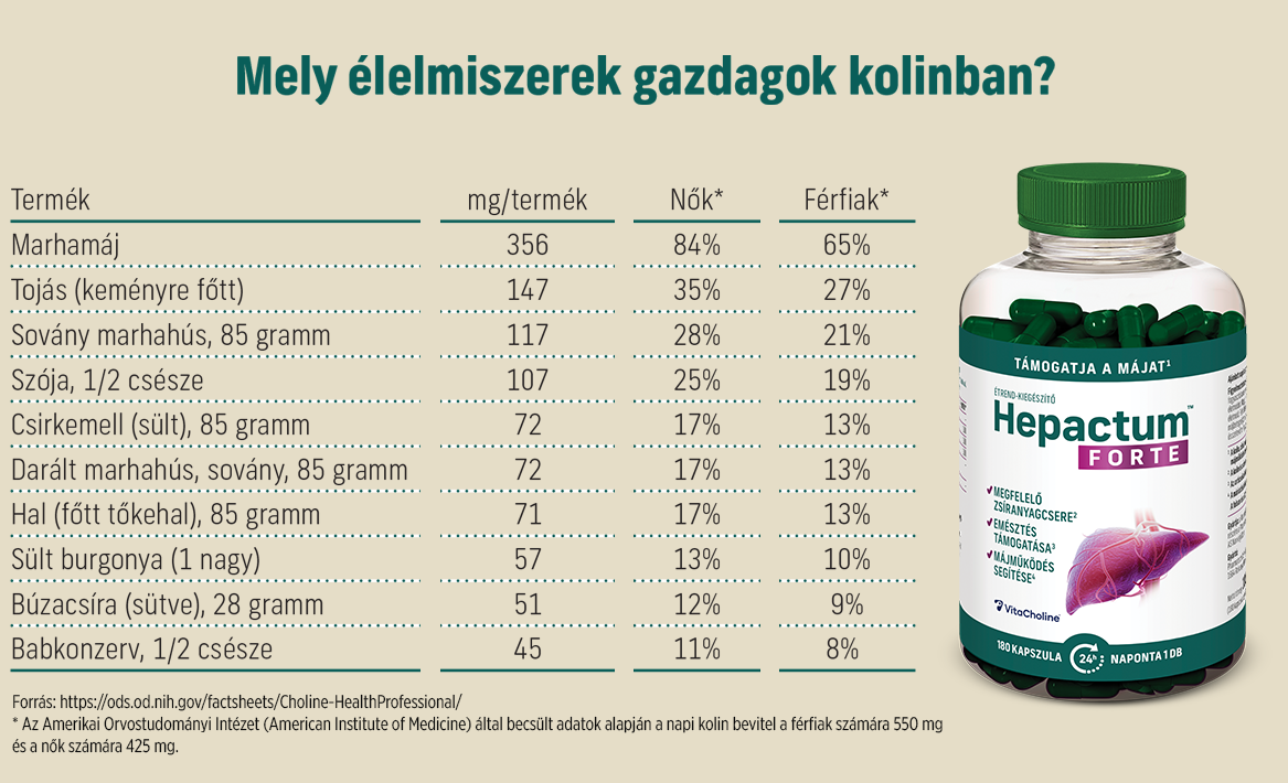 Natural Pharmaceuticals Hepactum FORTE Táblázat, amely bemutatja a kolin tartalmát (mg) kiválasztott élelmiszerekben, valamint a napi szükséglet százalékos arányát nők és férfiak számára. A jobb oldalon látható a Hepactum™ FORTE kapszulákban kapható, májfunkciót támogató étrend-kiegészítő. Például: 356 mg kolint tartalmaz a marhahús, ami a napi szükséglet 84%-át fedezi a nők és 65%-át a férfiak számára. A táblázatban olyan termékek is szerepelnek, mint a tojás, a szója, a csirke, a tőkehal, a burgonya, a búzakorpa és a konzerv bab.